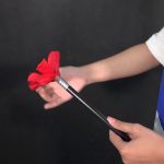 Top 18 Magic Tricks That Girls Can Do At Home Top 18 Magic Tricks That Girls Can Do At Home